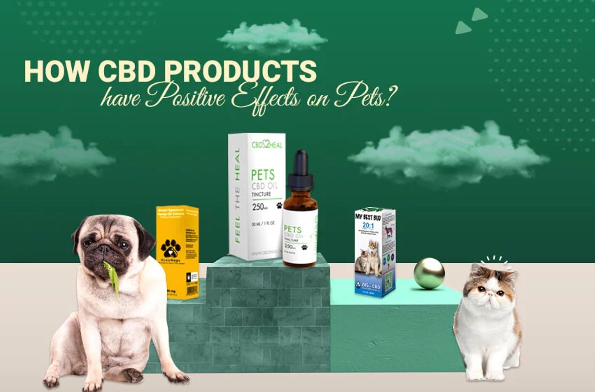 How CBD Products have positive effects on Pets? Can Save You Time, Stress, And Money.